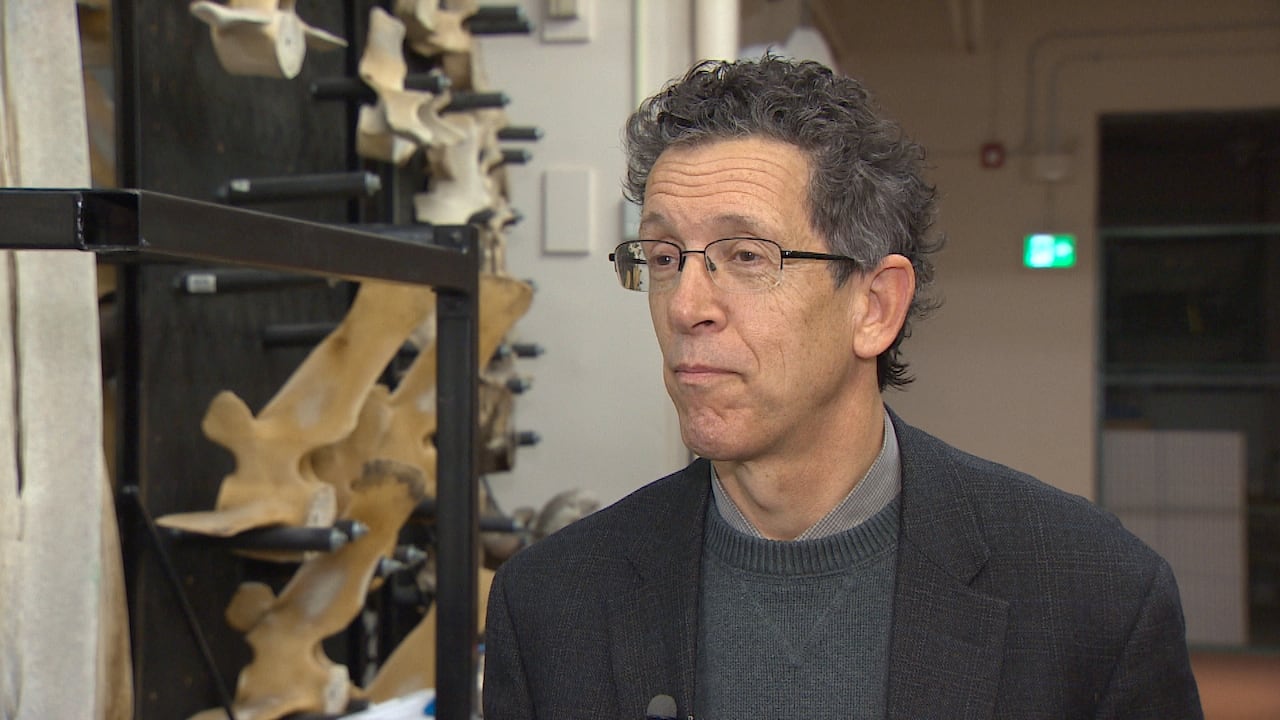 A older white man with dark grey hair wearing glasses and a sweater and blazer stands in front of mounted whale bones at a museum collection.