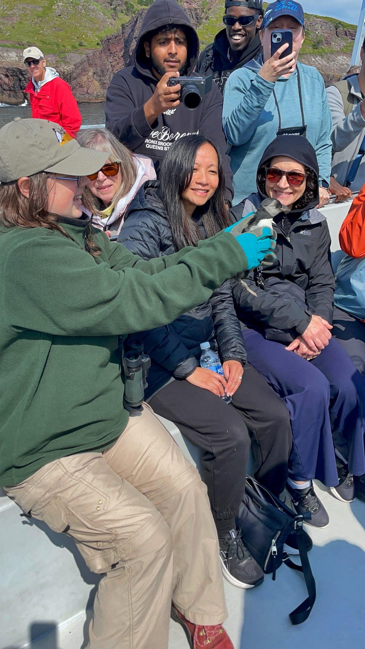 A woman holds the puffin, while others look on smiling at the bird.