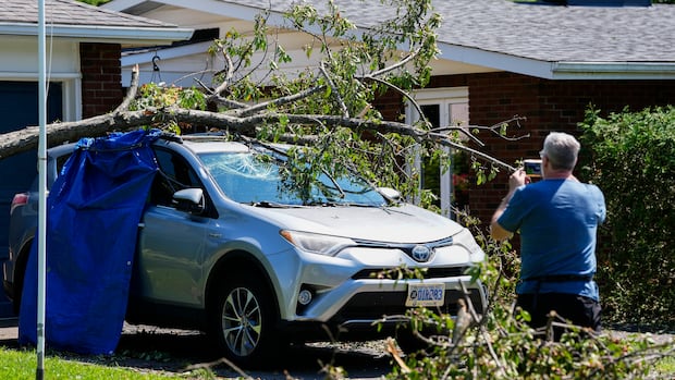 Why does Nepean keep getting hit by crazy weather? City seeking meteorologist to help find out