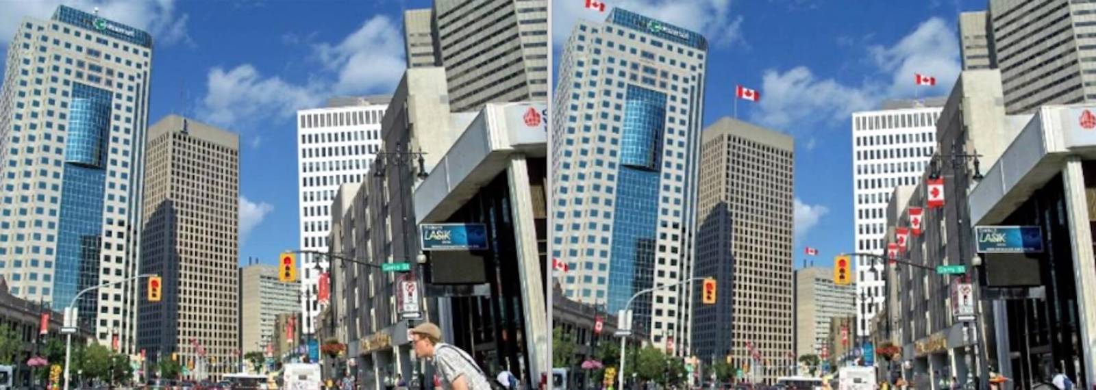Winnipeg biz owners encouraged to fly the Maple Leaf – Winnipeg Free Press