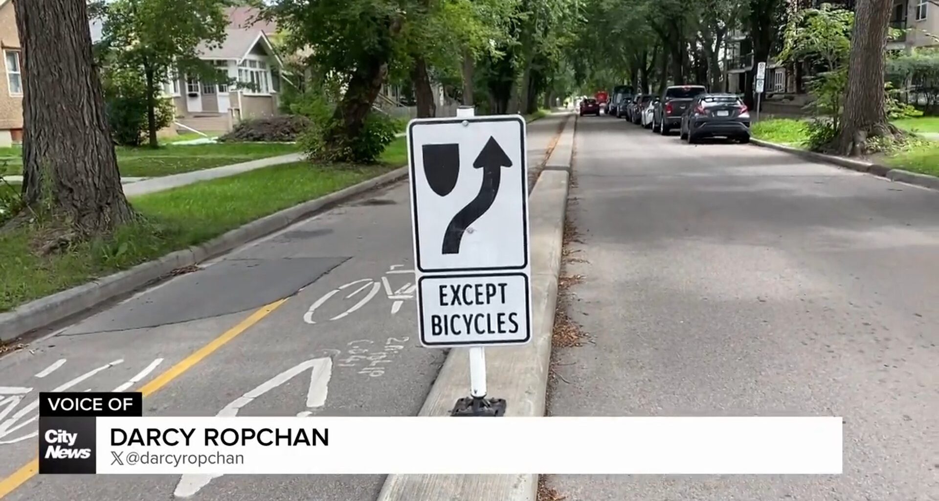 Edmonton city council not back pedalling on bike lane plan approved in 2022