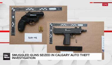 Smuggled guns seized in Calgary auto theft investigation