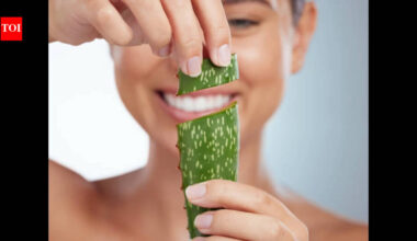 Why aloe vera remains a timeless skincare ingredient