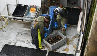 Canadian seafood industry 'relieved' with removal of their products from retaliatory tariff list