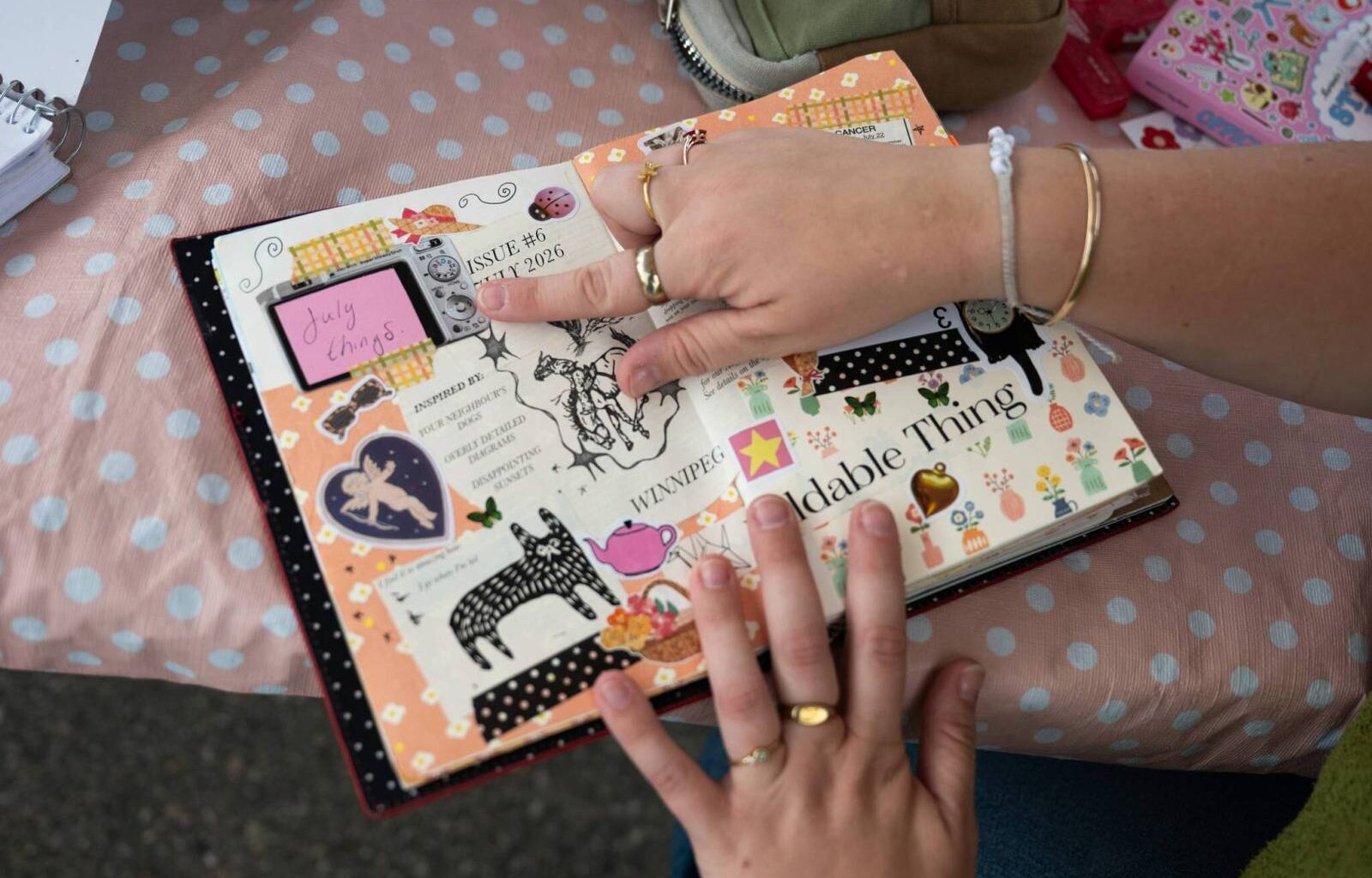 Journalling club looking for folks up for a scrap – Winnipeg Free Press