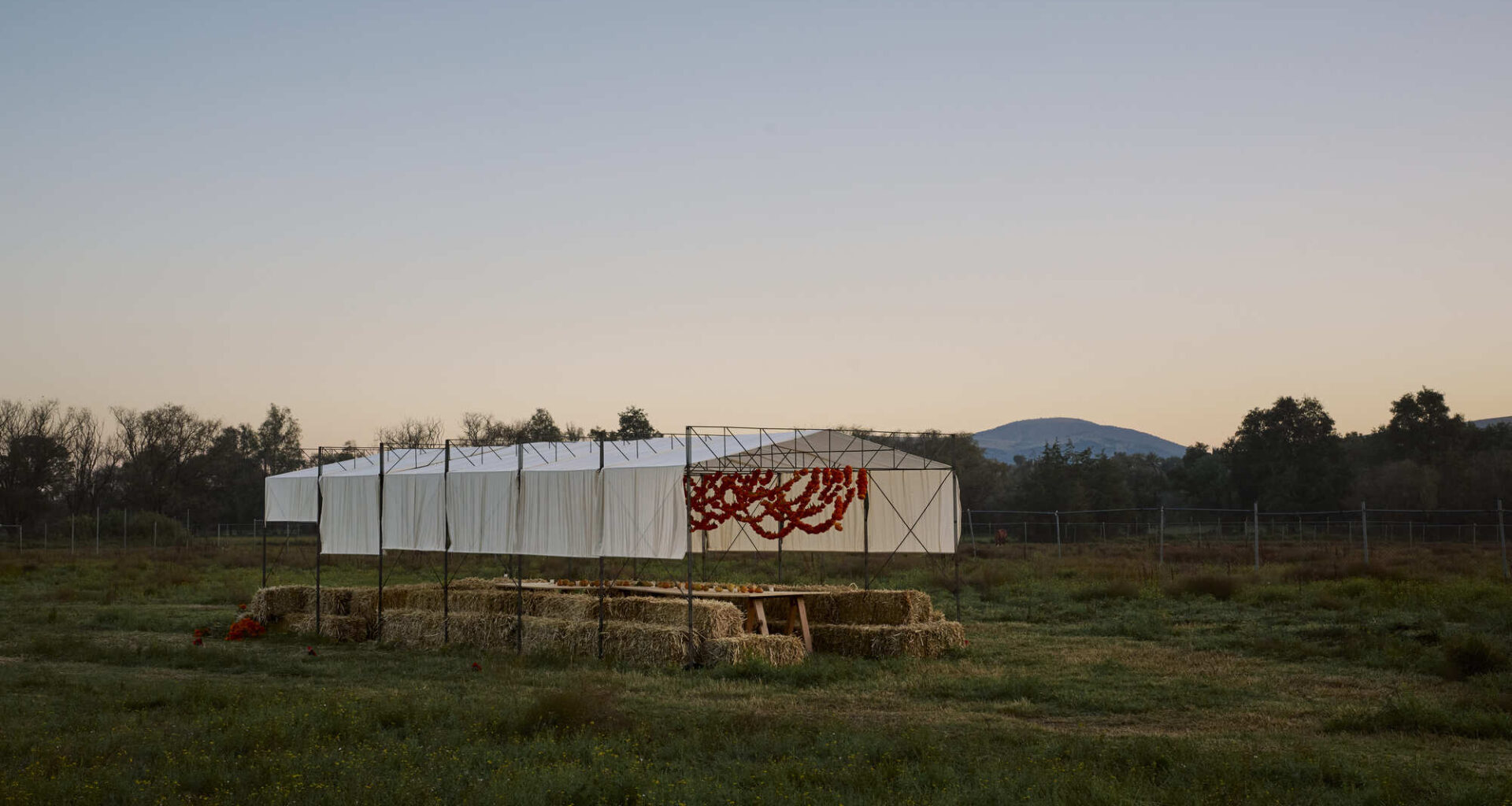 Cempasúchil Pavilion / COLAR Colectivo de Arquitectura
