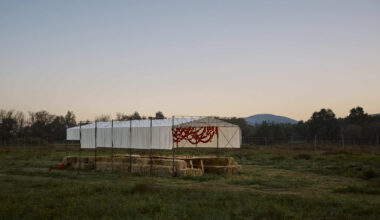 Cempasúchil Pavilion / COLAR Colectivo de Arquitectura
