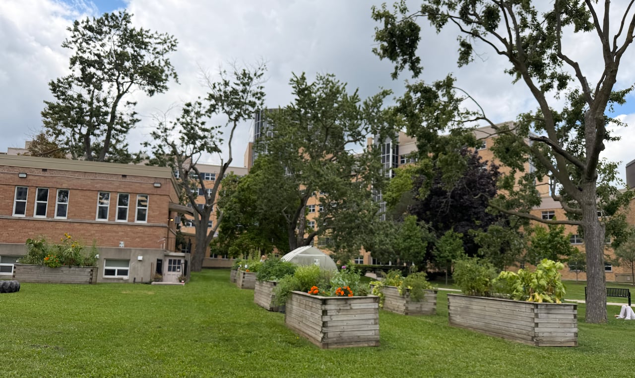 Garden boxes in a grass field within the Victoria Hospital grounds