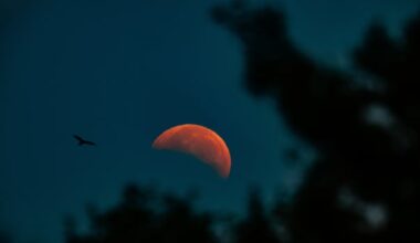 IN PHOTOS | Partial lunar eclipse here and abroad