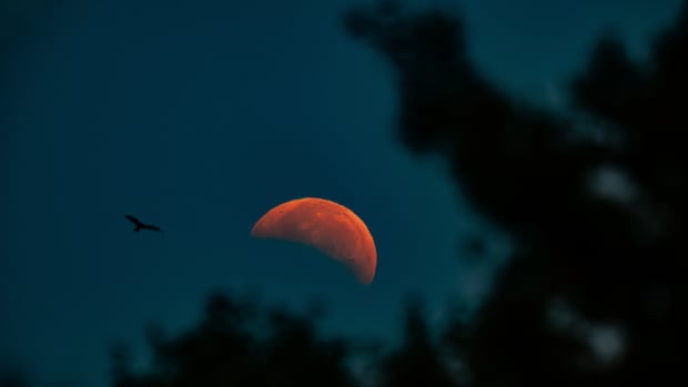 IN PHOTOS | Partial lunar eclipse here and abroad