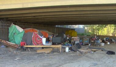 Winnipeg says encampment numbers down, but councillors question city's response