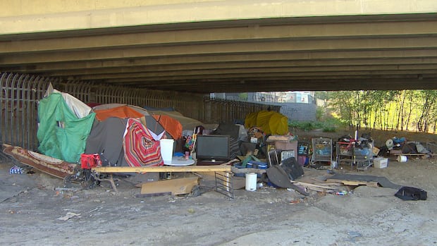 Winnipeg says encampment numbers down, but councillors question city's response