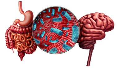 Psychobiotic Strategies for Managing Anxiety, Depression, and Schizophrenia: A Narrative Review. Image Credit: Lightspring / Shutterstock