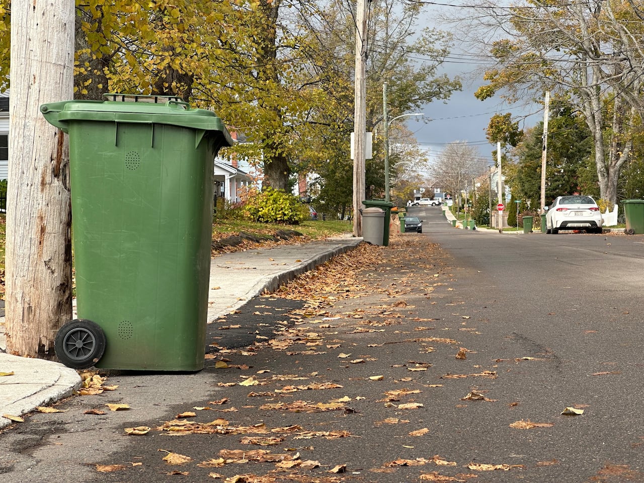 A green bin for compost collection on the side of a street in Charlottetown. There are scattered leaves on the pavement.