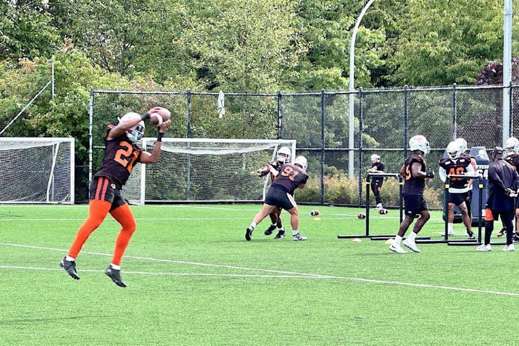 Fans follow BC Lions to Surrey park for practices, moved due to turf issues