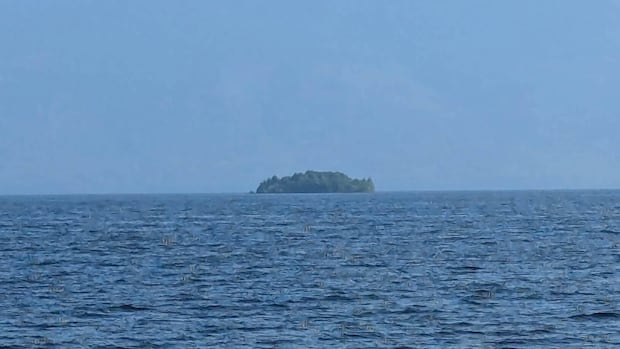 An island mysteriously appeared — then disappeared — on B.C.'s largest reservoir