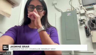 Campaign signs vandalized in Winnipeg’s Waverley West ward