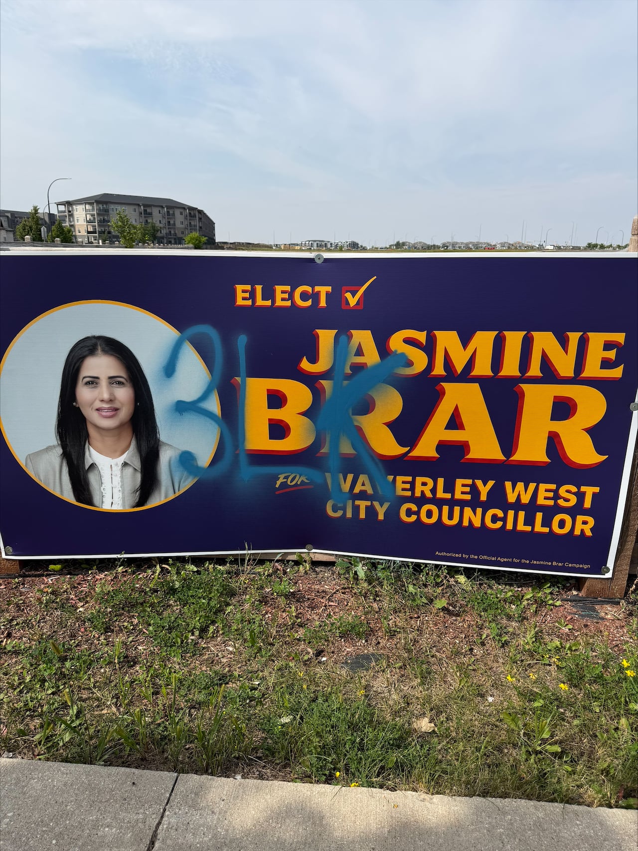 A campaign sign covered in blue spray paint