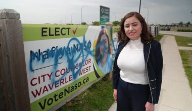 'This is not who we are in Waverley West': City council candidates' campaign signs defaced with graffiti