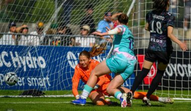 De Filippo Delivers Late Equalizer as Vancouver Earns Point Against Calgary Wild – AFTN