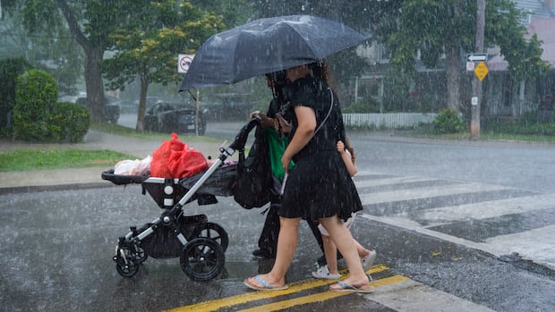 Parts of Toronto could get over 50 mm of rain Monday: Environment Canada