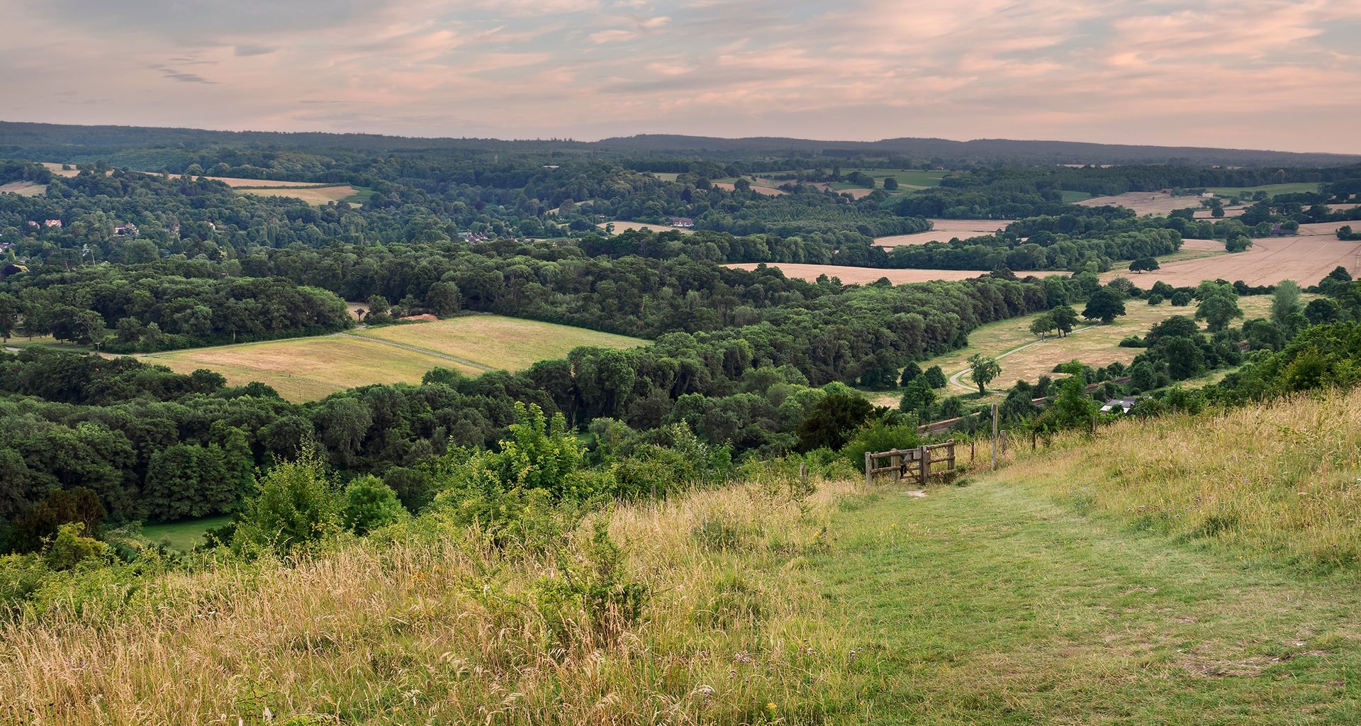 Which Celebrities Live In Surrey? (& Where?)