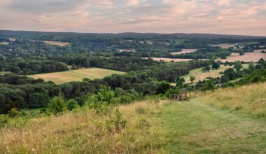 Which Celebrities Live In Surrey? (& Where?)