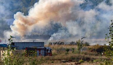 Afternoon brush fire in Surrey