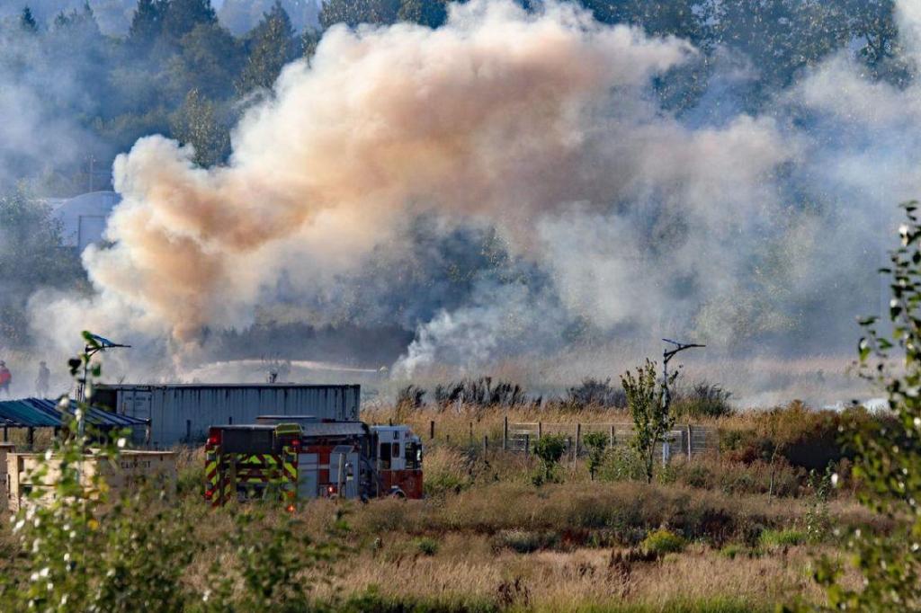 Afternoon brush fire in Surrey
