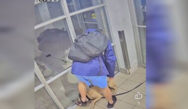Dog owner facing multiple charges after viral video of abuse