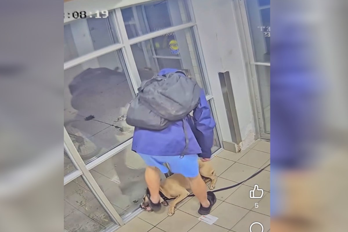 Dog owner facing multiple charges after viral video of abuse