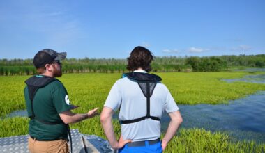 Public urged to 'soldier' on in fight against invasive plant in Lake Simcoe