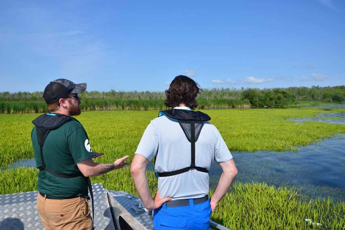 Public urged to 'soldier' on in fight against invasive plant in Lake Simcoe