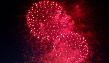 Expo 86 remembered at scaled-back Vancouver fireworks