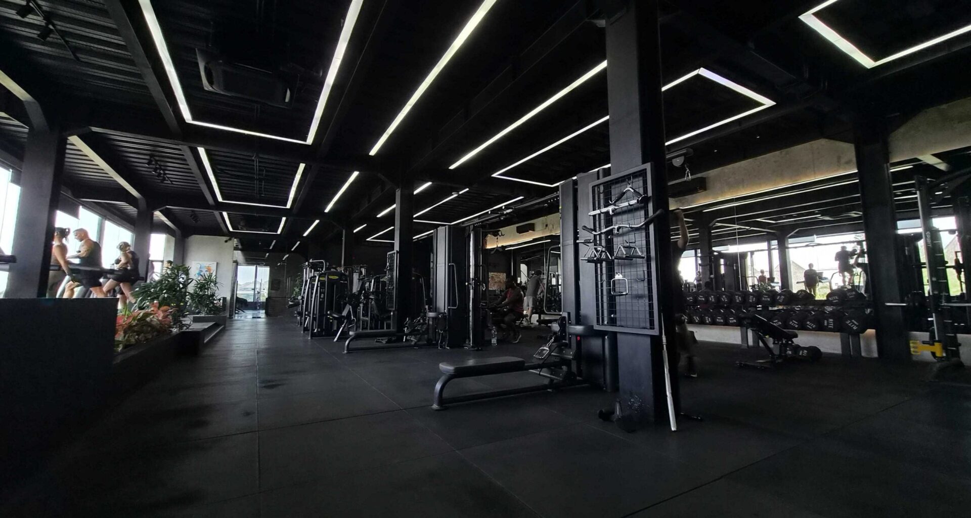 Bali Gyms: Inside Canggu's $60-A-Day Fitness Arms Race
