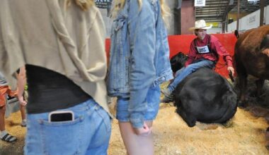 PHOTOS: Longstanding Chilliwack Fair still going strong