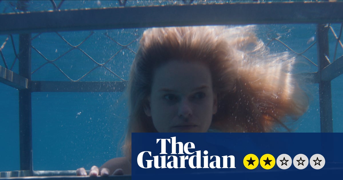 Chum review – daft shark attack movie with wedding guests running gamut of toothy undersea beast | Movies