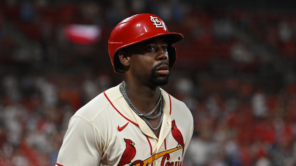 Ranking Every MLB Team's 2026 Home Run Leader from Obvious to Shocking