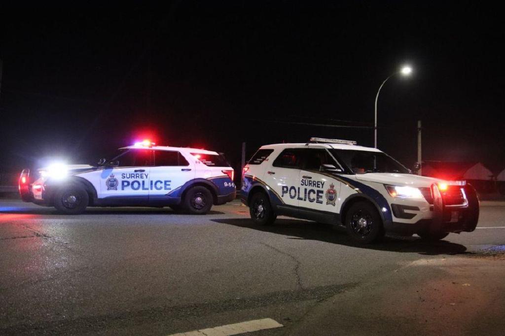 Police seize firearm after driver arrested in Surrey