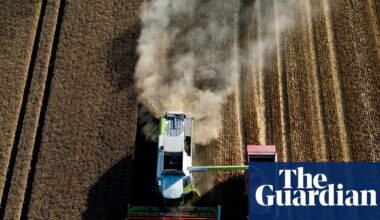 Global food prices at three-year high as heatwaves and wars push up crop costs | Food & drink industry