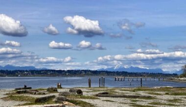 LETTER: Surrey doesn’t need a ‘Little Malibu’