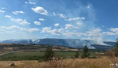 Evacuations lifted in Spallumcheen as Bradley Creek wildfire progress achieved