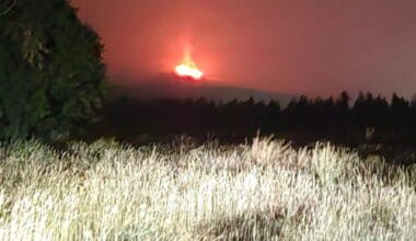 UPDATE: Evacuation alerts issued after 10-hectare wildfire sparks off Westside Road near Vernon