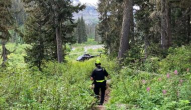 Man injured in grizzly bear attack near Pemberton