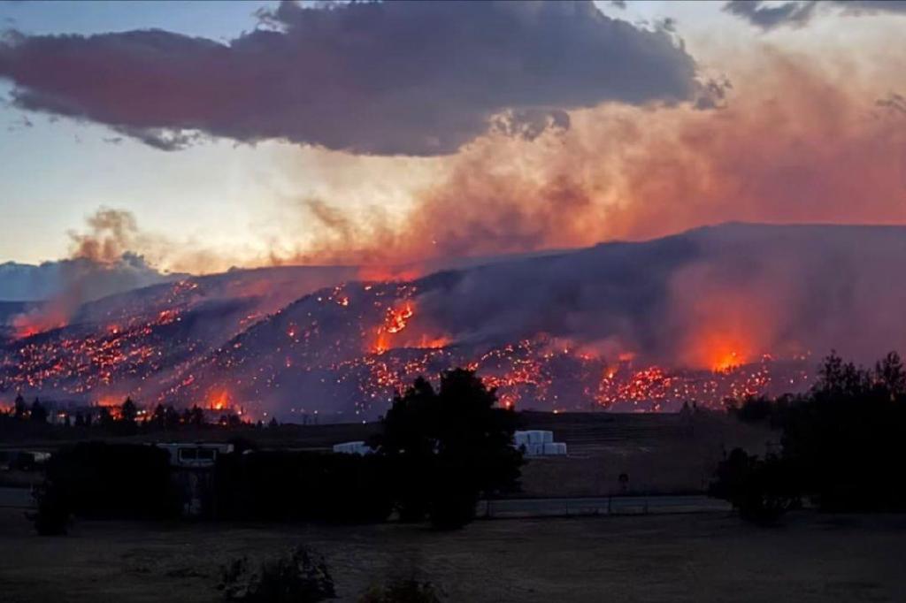 Wildfire relief drive seeks donations in Surrey