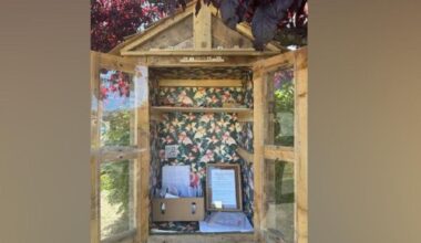 Little library turns Island street into a creative community exchange