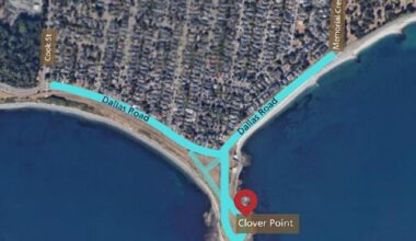 Triathlon to close scenic stretch of Dallas Road