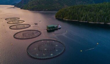 Advocates, industry looking for answers on 2029 fish farm ban amid Ottawa’s silence