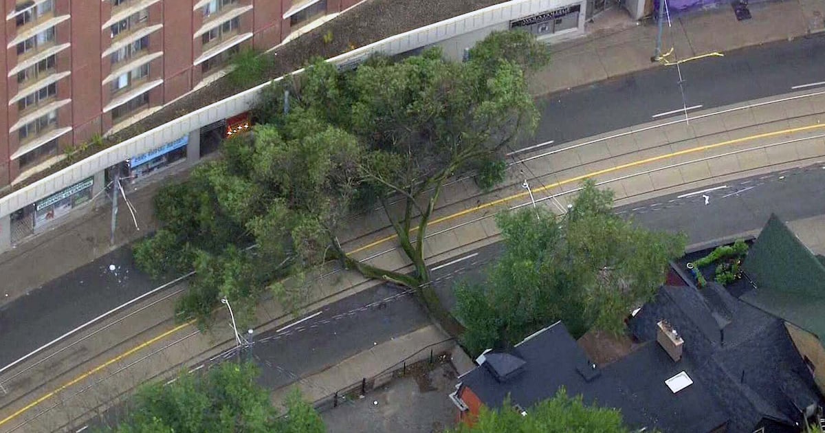 TTC streetcars diverting downtown after downed tree hits wires, blocks road