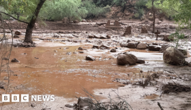 Grand Canyon flash flooding sparks search for missing hikers - BBC